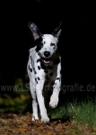 16 Lichtspiele